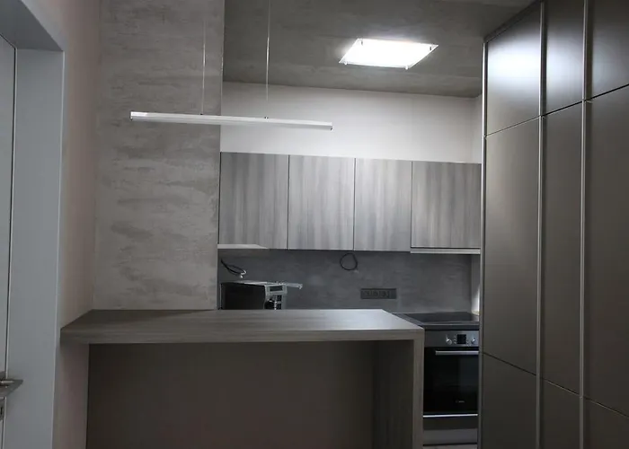 公寓 Blue House Relax 维尔克波波维采